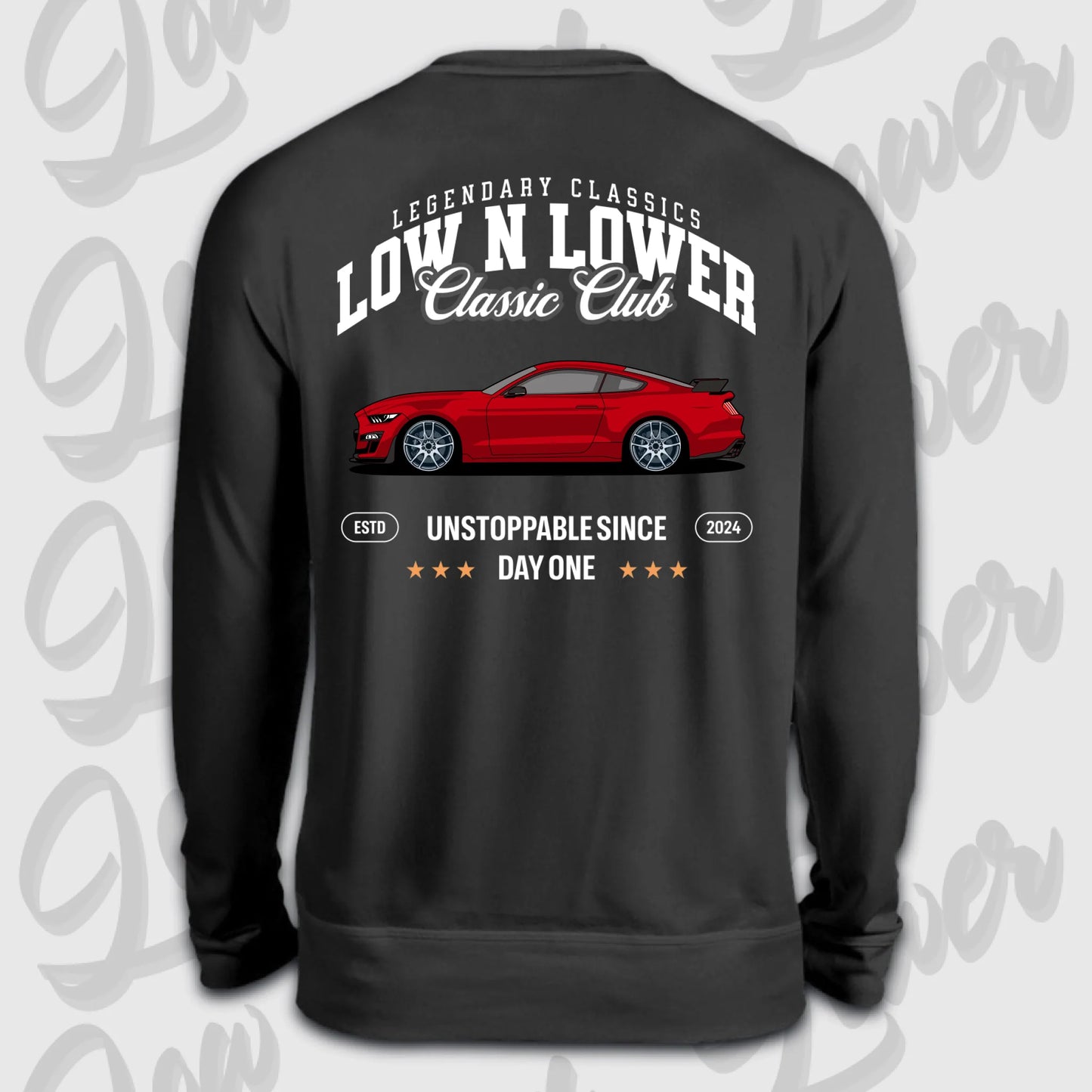 Sweater schwarz back