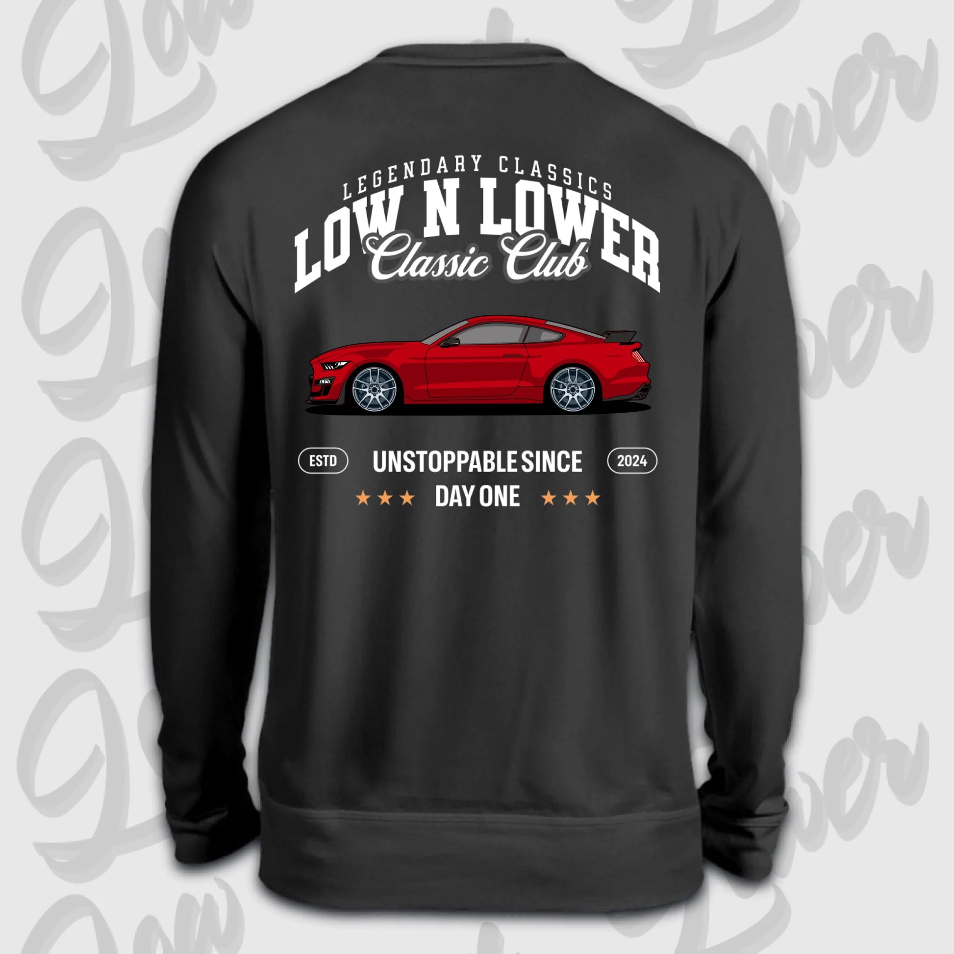 Sweater schwarz back