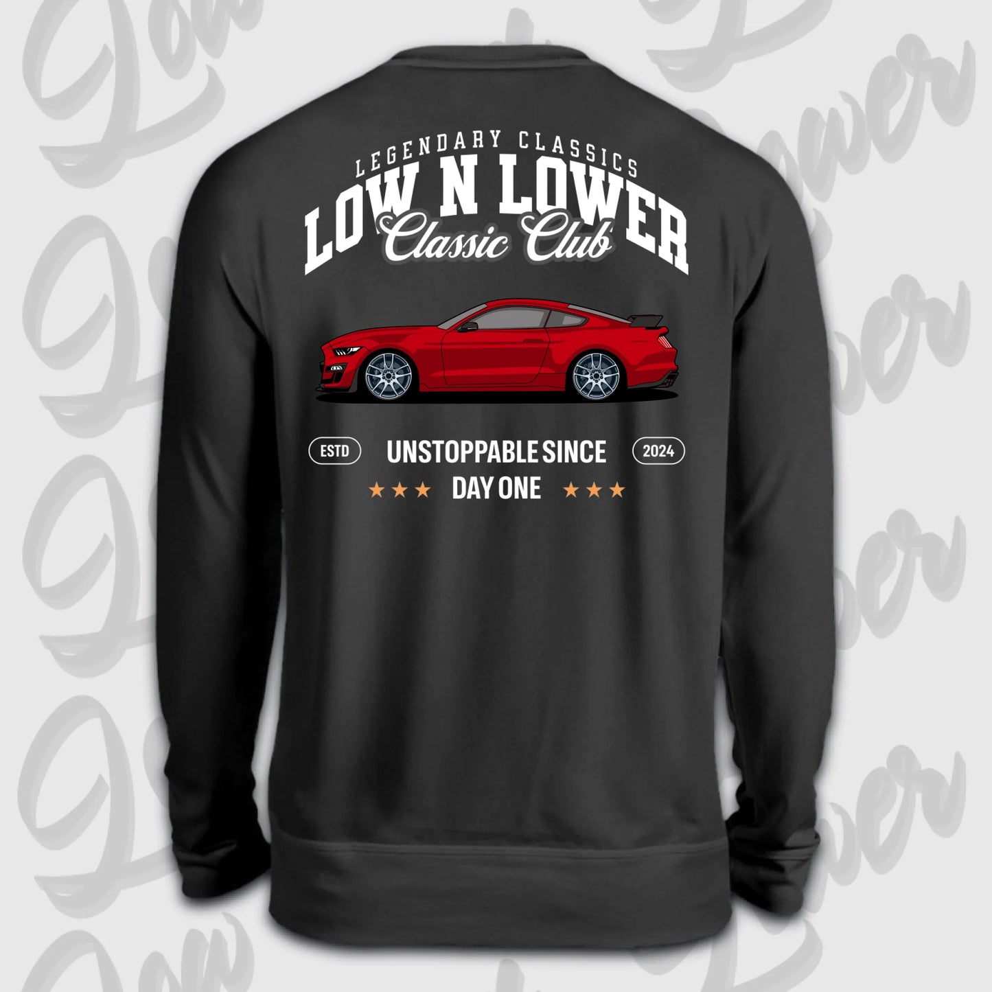 Sweater schwarz back