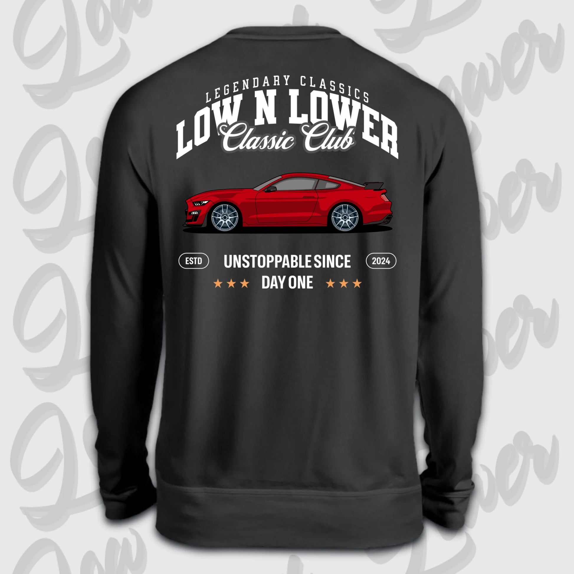 Sweater schwarz back