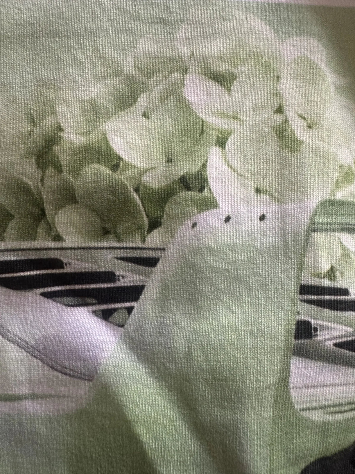 IMG_2564